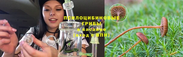 СК Балахна
